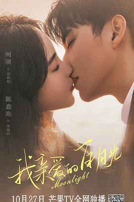 模板搭建网站适合优化吗